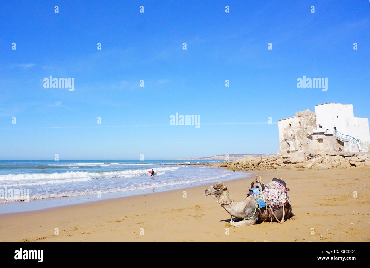 Sidi Kaouki beach, surf posto, Marocco, Africa Foto Stock