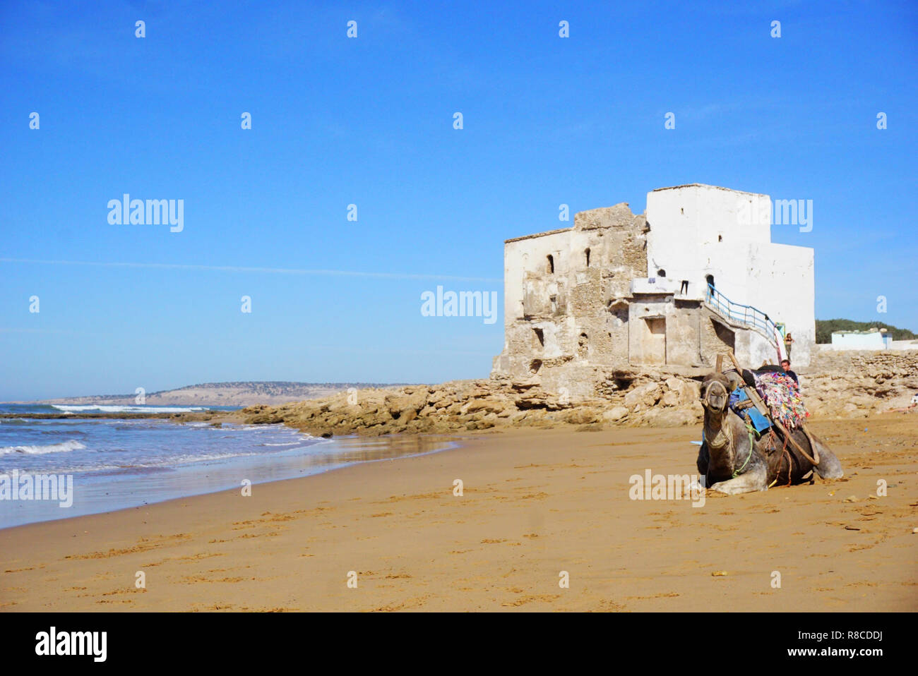 Sidi Kaouki beach, surf posto, Marocco, Africa Foto Stock