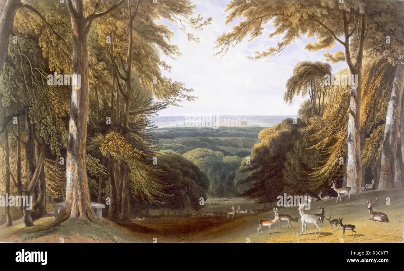 Glen in Windsor Park vicino a vescovi Gate, c1827-30. Creatore: William Daniell (1769-1837). Foto Stock