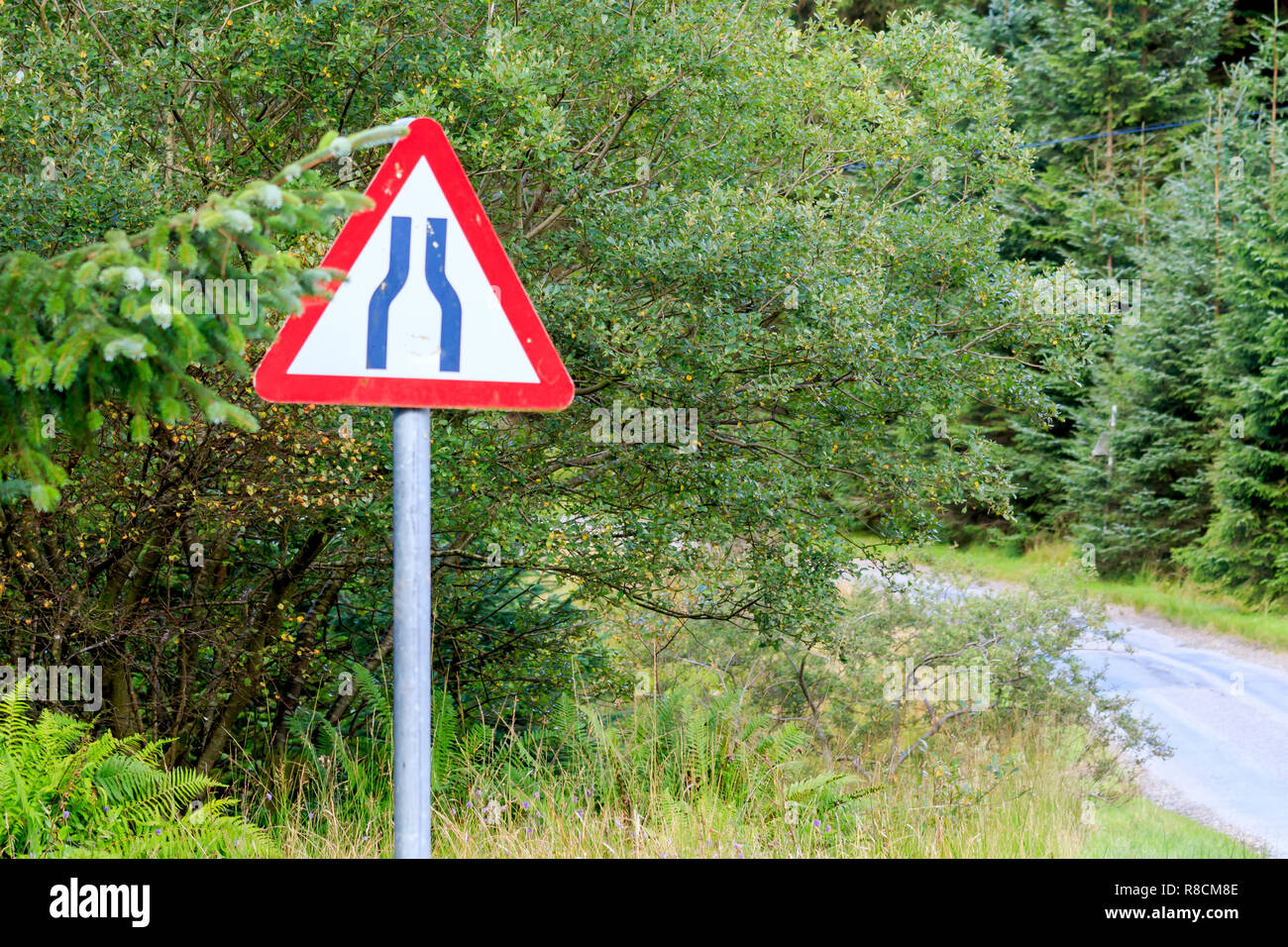Il triangolo del Regno Unito cartello stradale di avvertimento di strada stretta Foto Stock