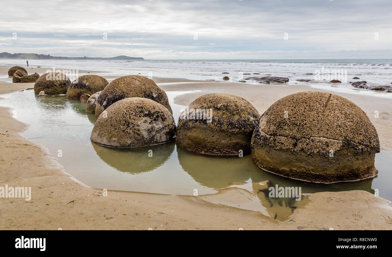 Moeraki Boulders emergente dalla sabbia sulla spiaggia Moeraki nell Isola del Sud della Nuova Zelanda Foto Stock