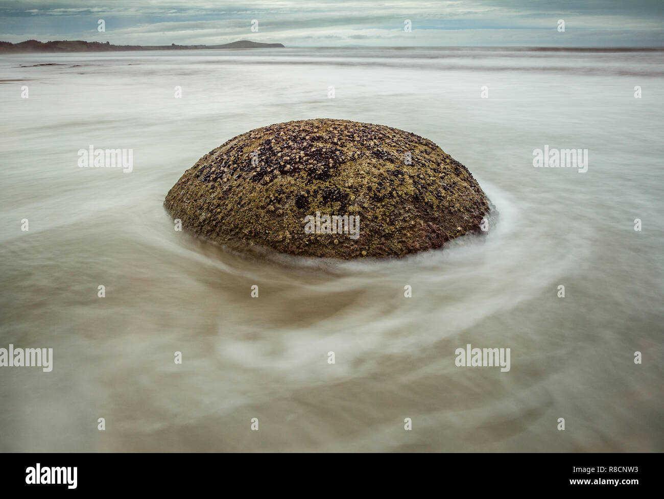 Moeraki Boulder lavato dalla marea sulla spiaggia Moeraki nell Isola del Sud della Nuova Zelanda Foto Stock