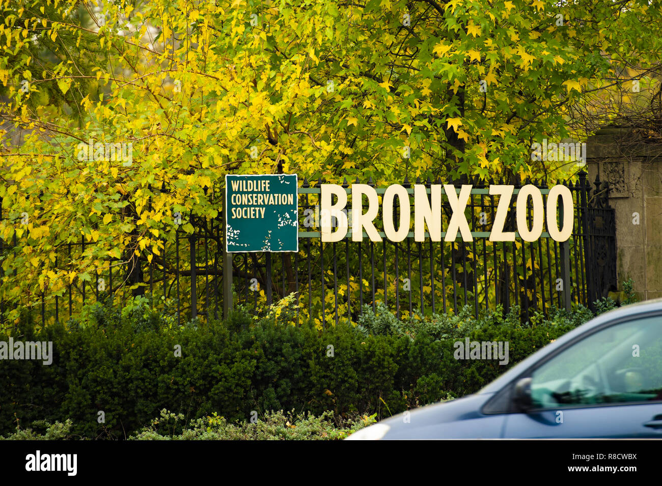 Bronx Zoo segno con bellissimi alberi in background, New York Manhattan. Foto Stock