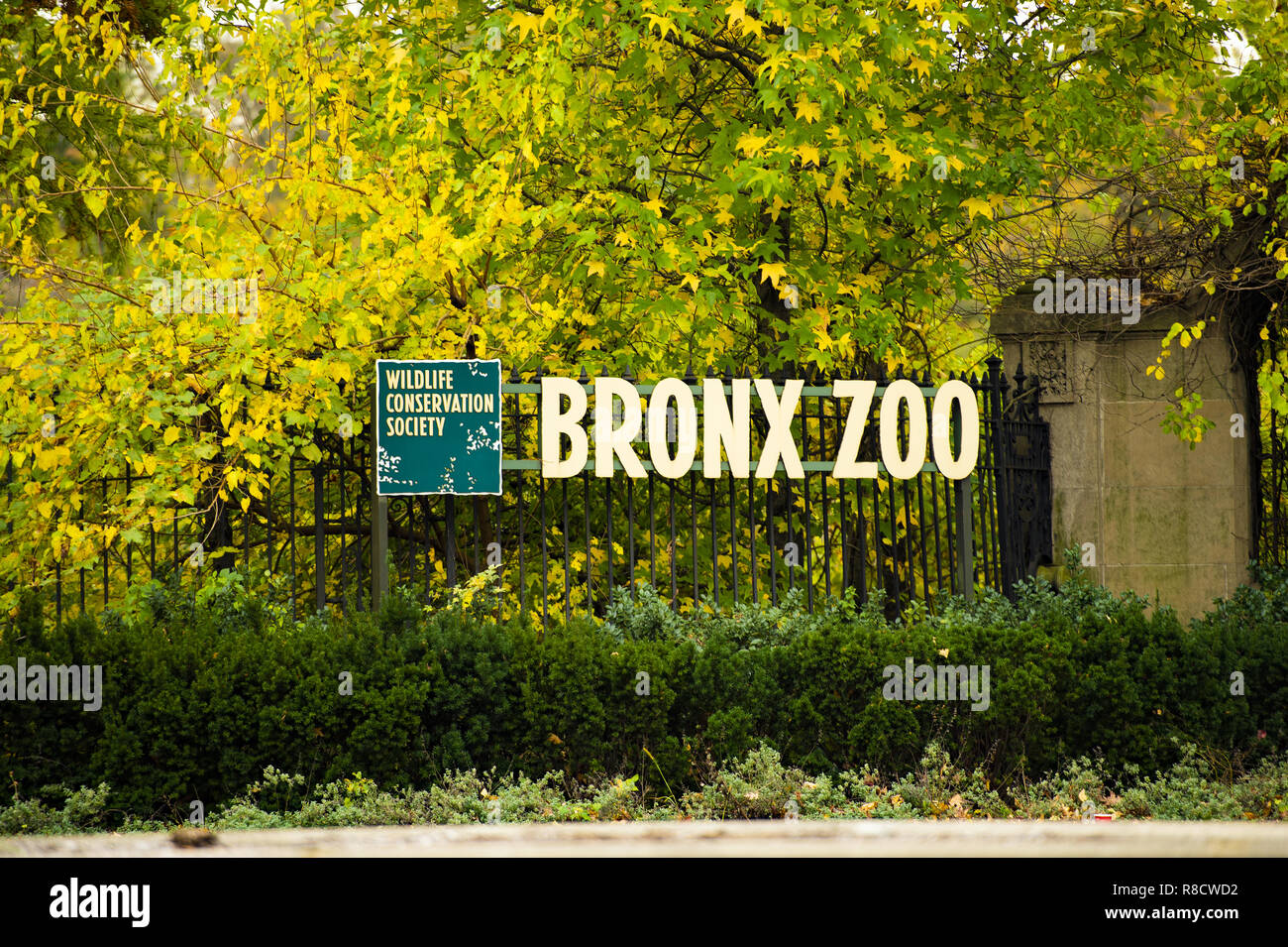 Bronx Zoo segno con bellissimi alberi in background, New York Manhattan. Foto Stock