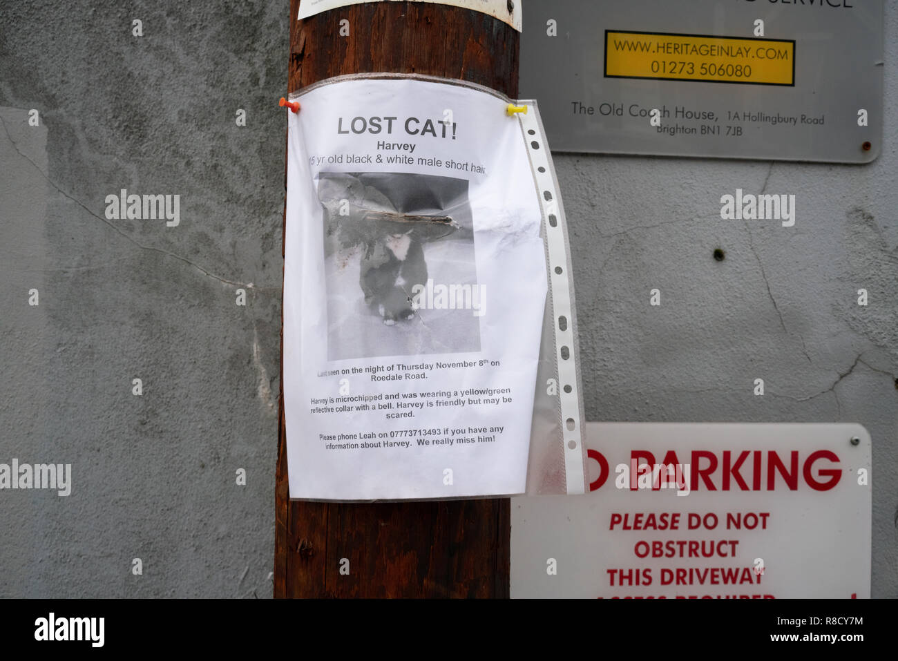 Poster per un gatto smarrito Foto Stock