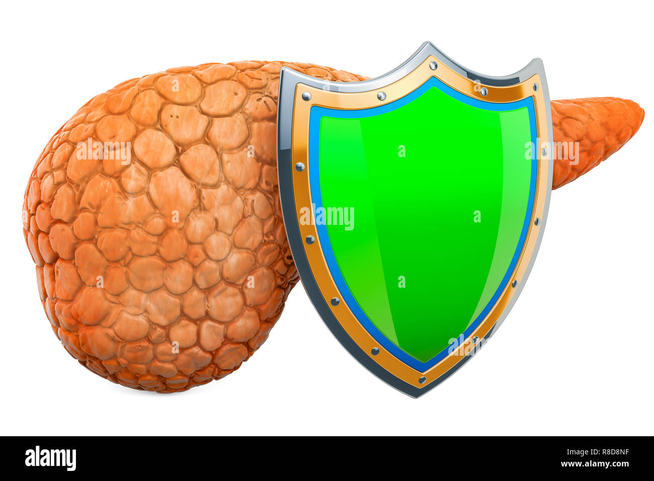 Pancreas umano con scudo, proteggere il concetto. 3D rendering isolati su sfondo bianco Foto Stock