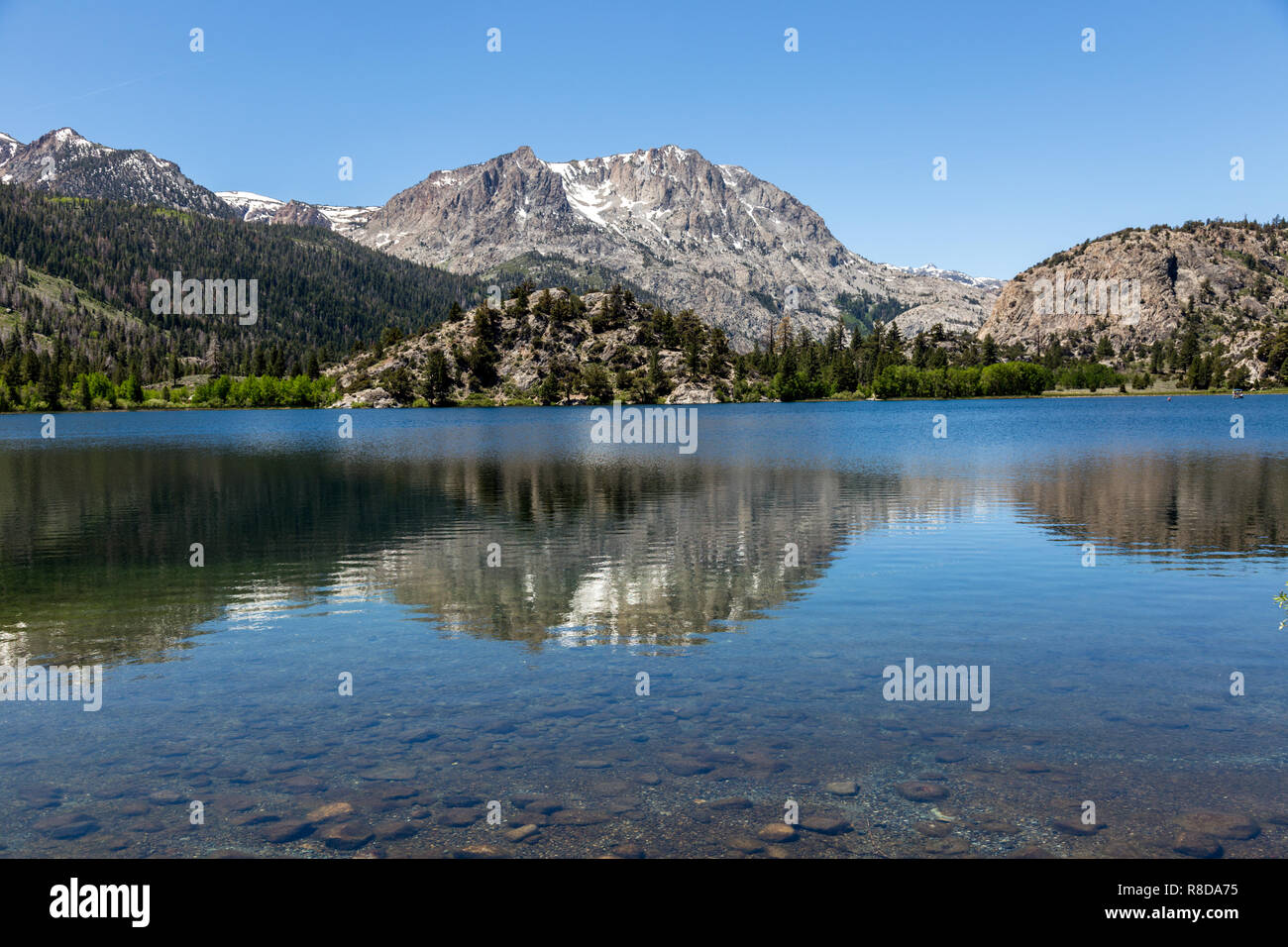 Gull lago Mammoth Lakes area USA. Mammoth Lakes è una città in California della Sierra Nevada. È conosciuto per il Mammoth Mountain e Giugno Mou Foto Stock