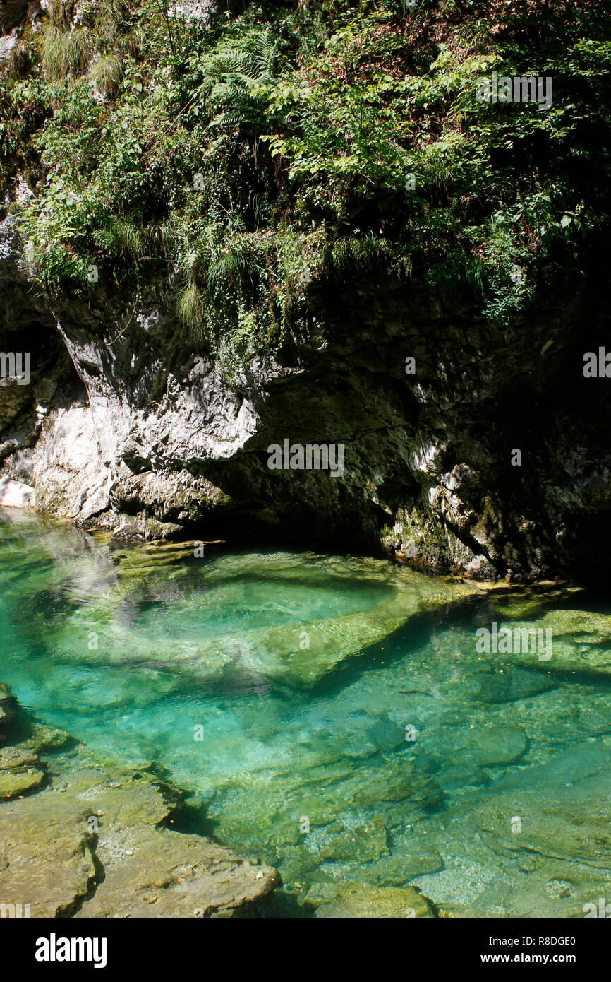 Le acque perfettamente pulite della gola. Alcuni km da Bled, Slovenia Foto Stock