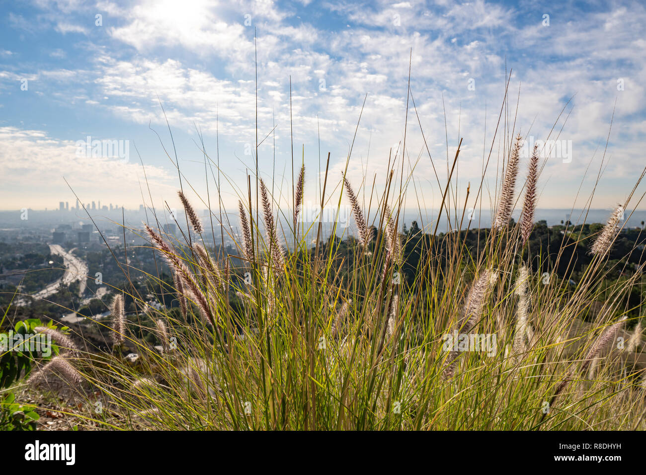 Vista di Los Angeles dalle colline di Hollywood. Down Town LA. Hollywood Bowl. Giorno caldo e soleggiato. Belle le nuvole nel cielo blu. Superstrada 101 il traffico Foto Stock