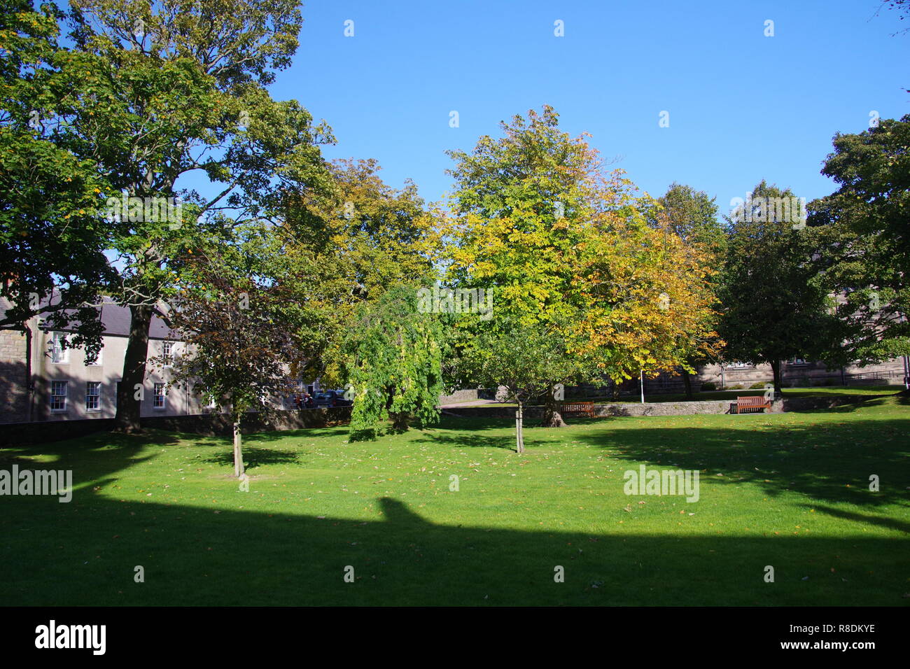 Prato del Campus Kings College su una soleggiata giornata autunnale. Università di Aberdeen, Old Aberdeen, Scozia, Regno Unito. Foto Stock