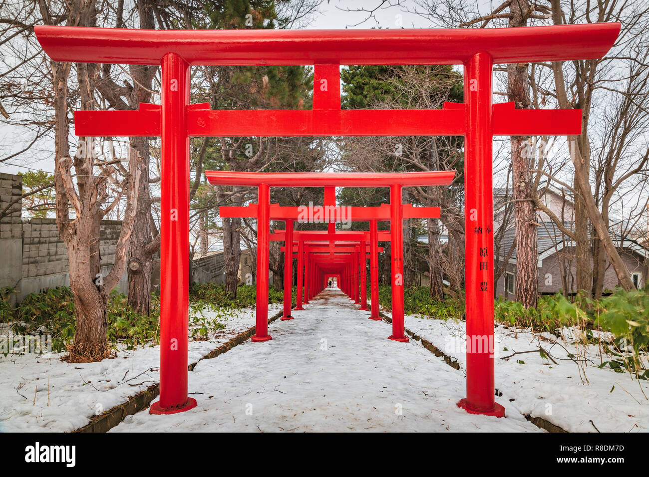 Il Fushimi Inari Jinja santuario costruito in epoca Meiji con 27 torii gates. Sapporo, Hokkaido, Giappone. Foto Stock