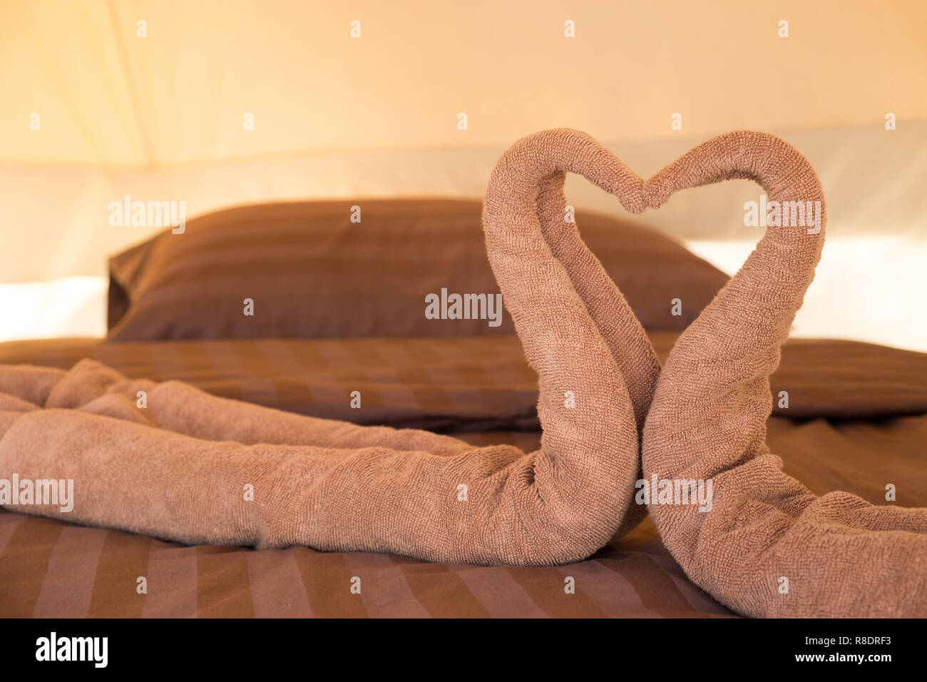 Messaggio di saluto nella camera di albergo asciugamani in forme di cigno, salvietta arte, colf. Foto Stock