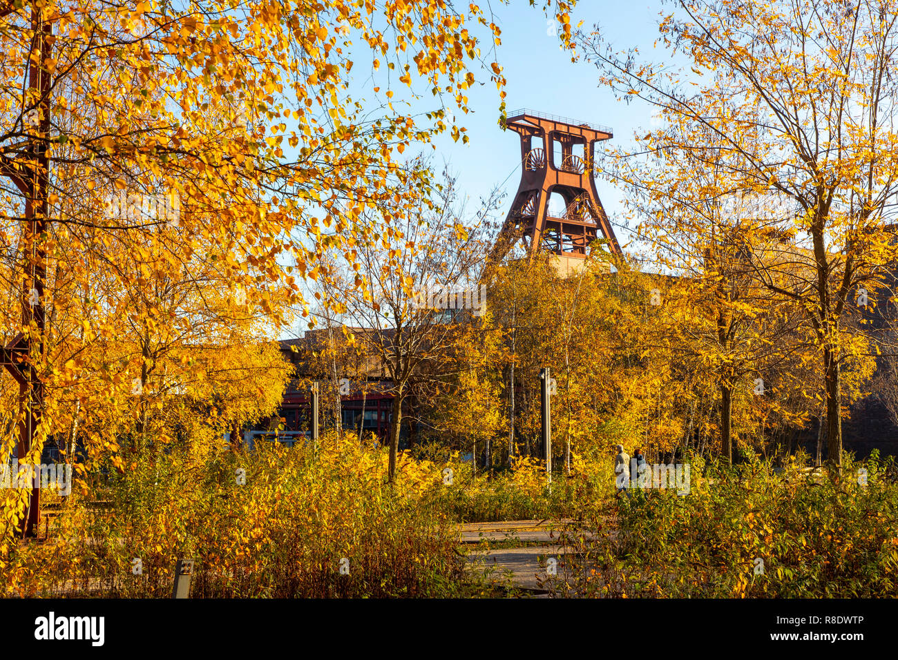 Der Zollverein Park, ehemalige Gleisanlagen, auf der Zeche Zollverein a Essen, Doppelbock Fördergerüst von Schacht XII, Foto Stock