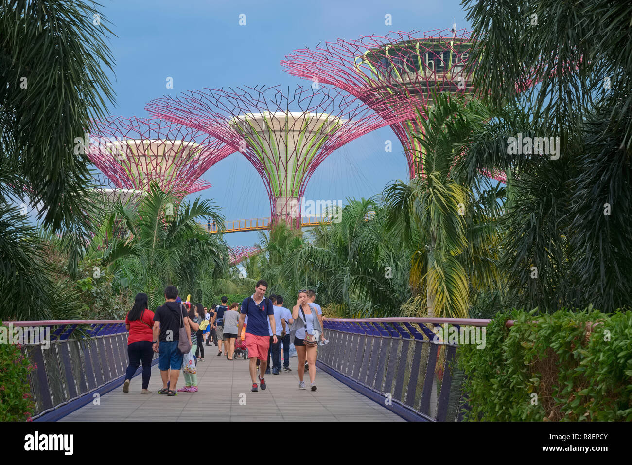 Turisti attraversando un ponte in giardini dalla baia, in area di Marina Bay, Singapore, con alcuni dei Super alberi in background Foto Stock