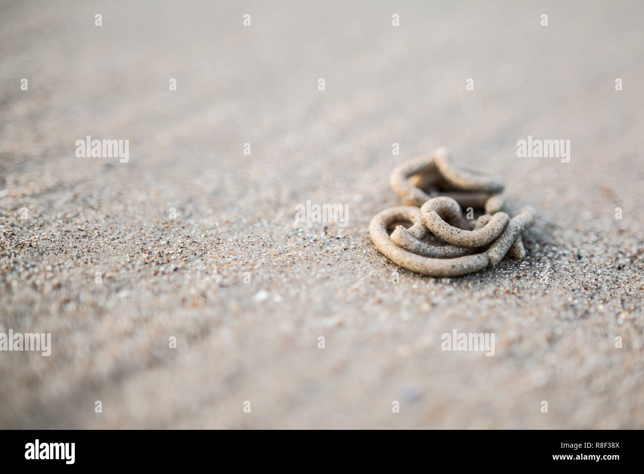 Close up di lugworm cast di sabbia su una spiaggia Foto Stock