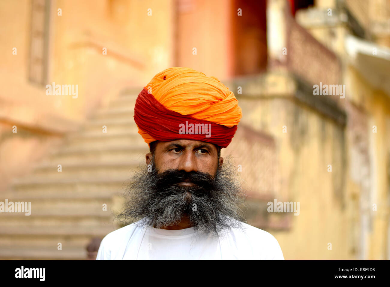 Rajasthani Uomo con barba e turbante tradizionali, Jodhpur, Rajasthan. Foto Stock