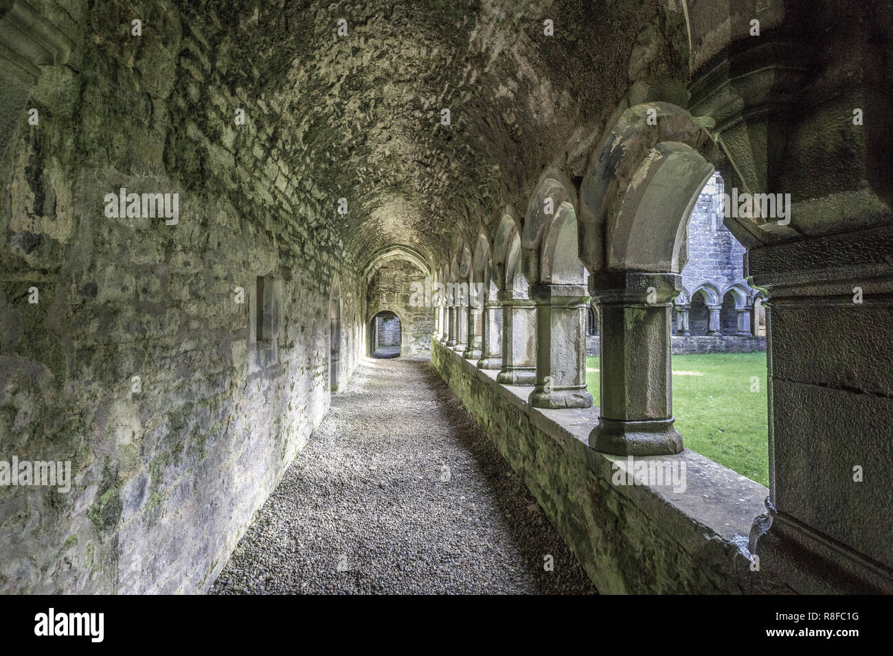 Moyne Abbey, nella contea di Mayo, Irlanda Foto Stock