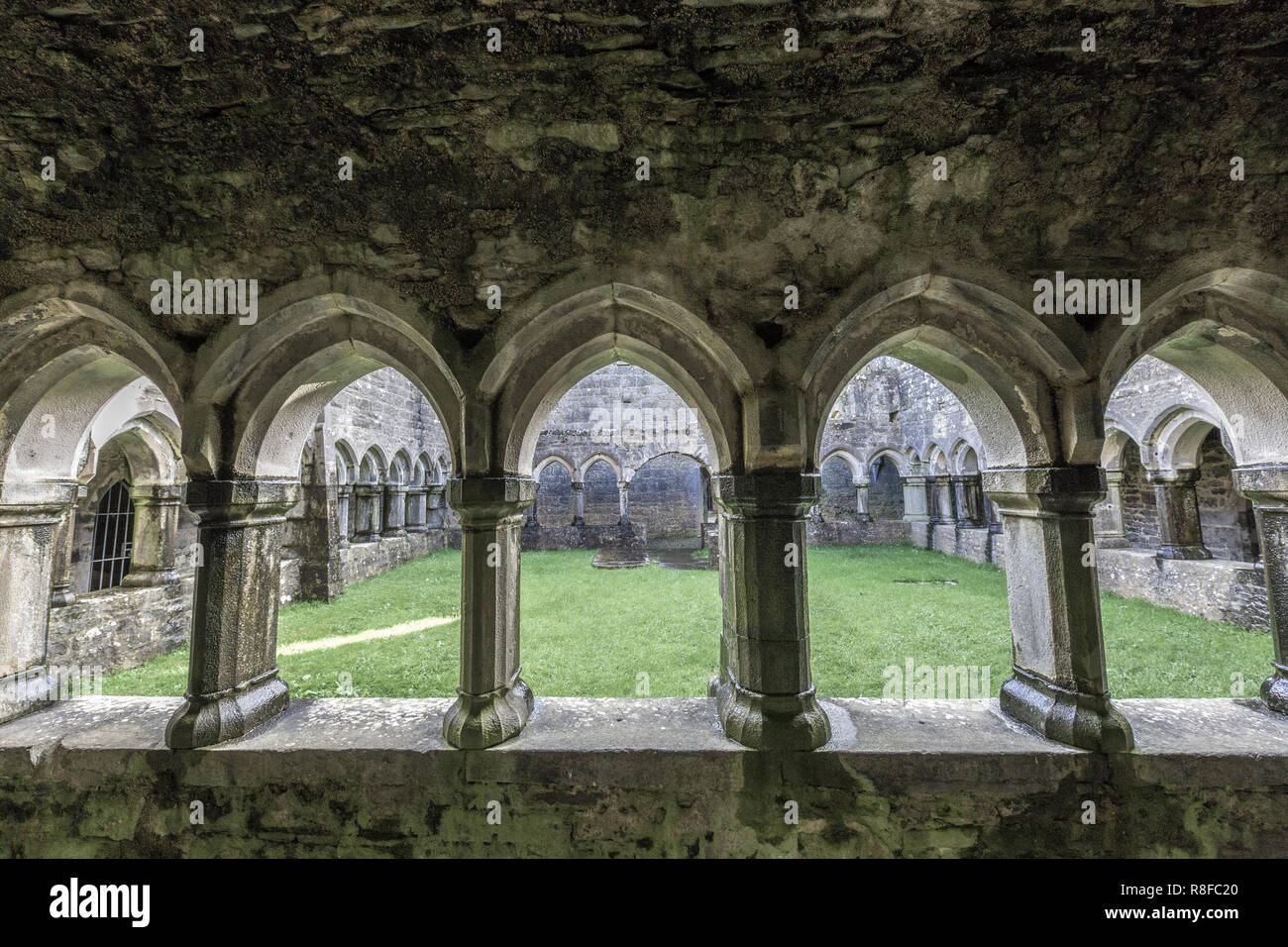 Moyne Abbey, nella contea di Mayo, Irlanda Foto Stock