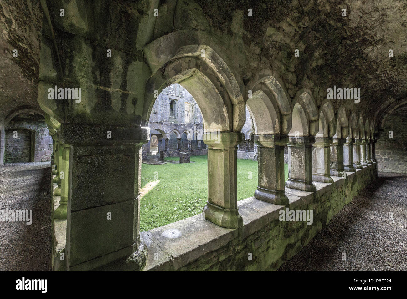 Moyne Abbey, nella contea di Mayo, Irlanda Foto Stock