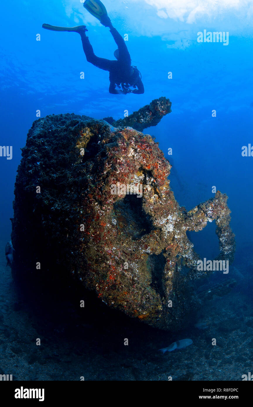 Immersioni subacquee sul relitto Taliarte a Boa Vista - Capo Verde Foto Stock