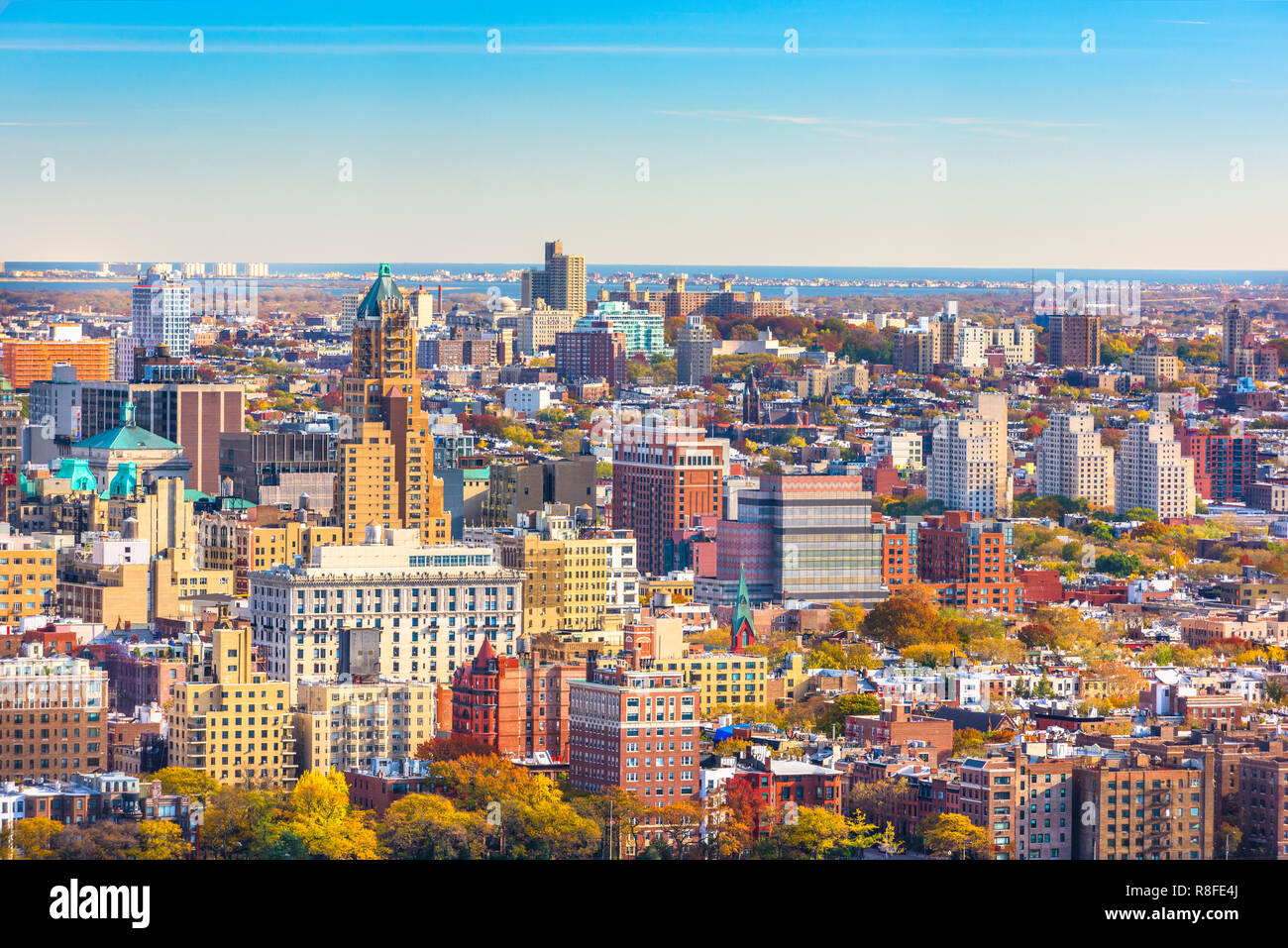 Brooklyn, New York, Stati Uniti d'America cityscape oltre Brooklyn Heights in giornata. Foto Stock