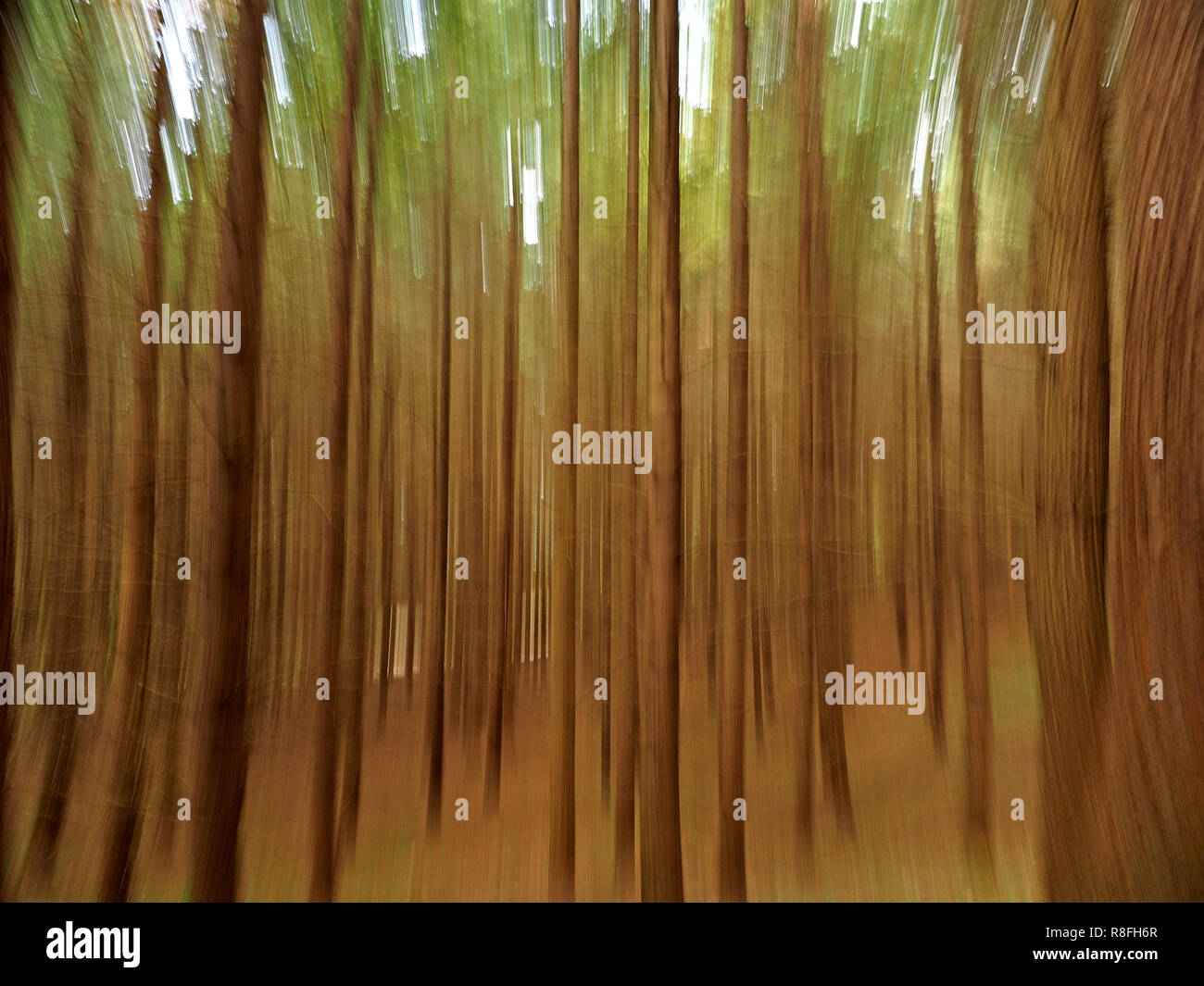 Toscana, Italia Foto Stock