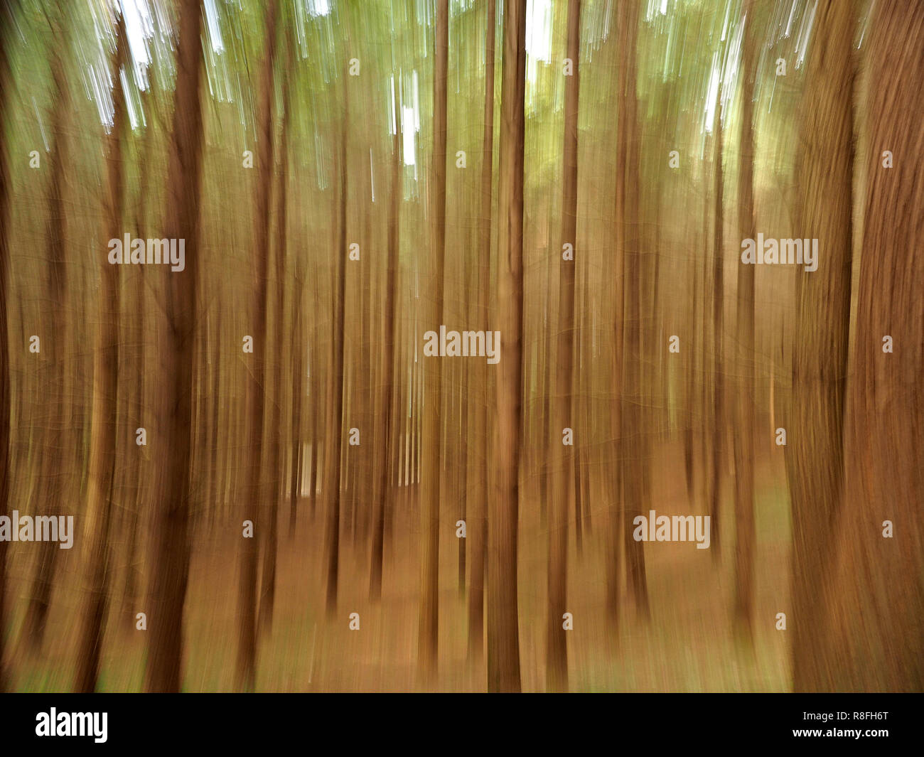 Toscana, Italia Foto Stock