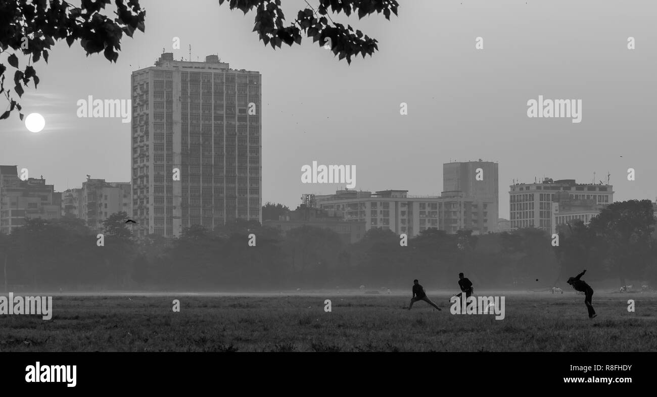 Indian pastori con i loro caprini domestici presso la massa di Maidan affacciato su edifici alti in Kolkata,l'India. Foto Stock