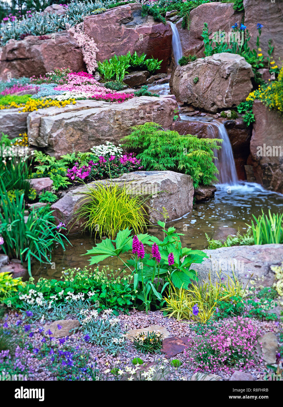 Colorate Rockery alpino e cascata per un paese giardino Foto Stock
