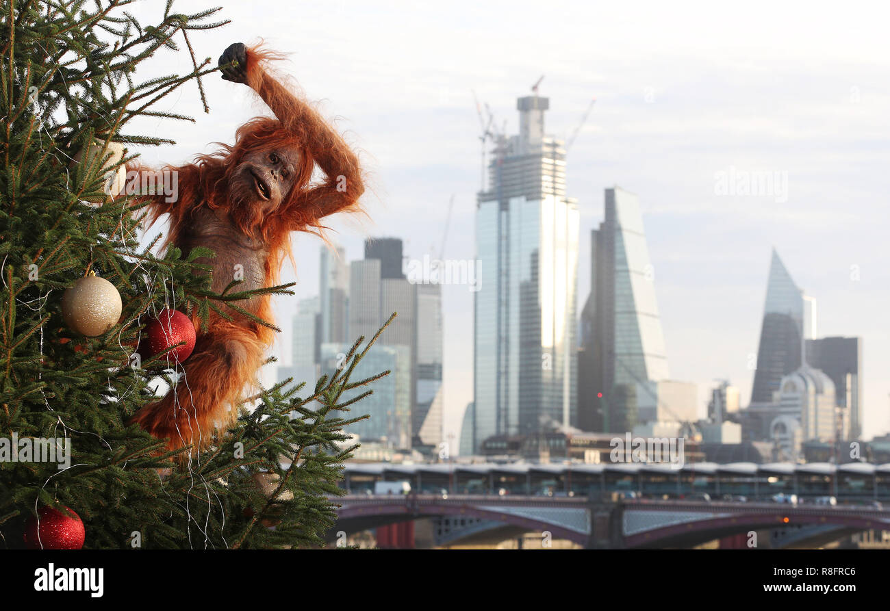 Un ultra-realistica orangutan animatronic salite a 20ft albero di Natale a Coin Street punto di osservazione, Londra per evidenziare la minaccia per la sopravvivenza della specie a causa del disboscamento causato da palm-la produzione di petrolio, a seguito dell'Islanda annuncio natalizio di essere proibiti. Il rivenditore ha lanciato un olio di palma di Natale gratuito gamma alimentare e ha promesso di eliminare olio di palma da tutta la sua propria etichetta prodotti entro la fine del 2018. Islanda Natale advert ha raccolto il supporto online per la sua #NoPalmOilChristmas campagna e più di seicentomila firme su petizione Change.org chiamando per l'inserzione di Foto Stock