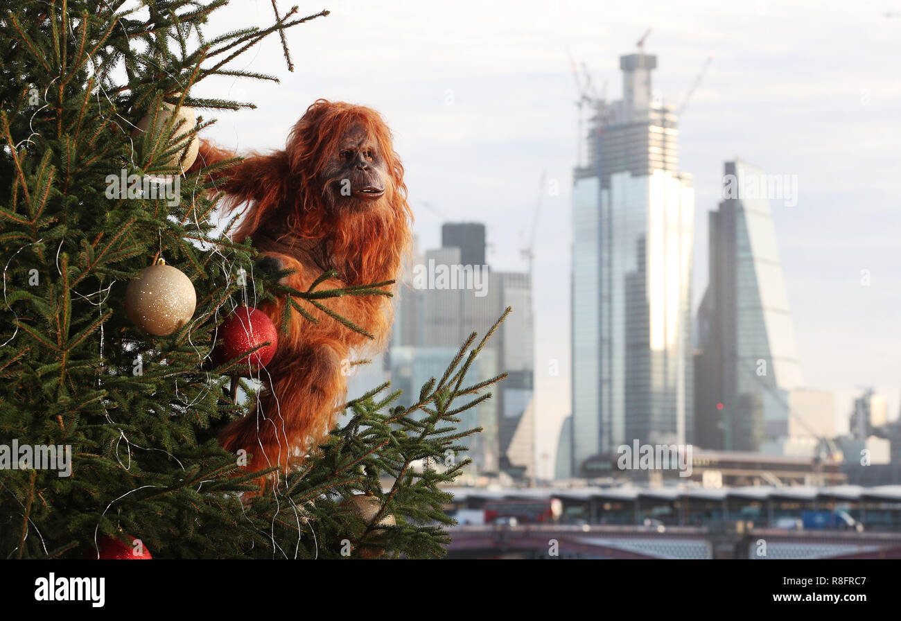 Un ultra-realistica orangutan animatronic salite a 20ft albero di Natale a Coin Street punto di osservazione, Londra per evidenziare la minaccia per la sopravvivenza della specie a causa del disboscamento causato da palm-la produzione di petrolio, a seguito dell'Islanda annuncio natalizio di essere proibiti. Il rivenditore ha lanciato un olio di palma di Natale gratuito gamma alimentare e ha promesso di eliminare olio di palma da tutta la sua propria etichetta prodotti entro la fine del 2018. Islanda Natale advert ha raccolto il supporto online per la sua #NoPalmOilChristmas campagna e più di seicentomila firme su petizione Change.org chiamando per l'inserzione di Foto Stock