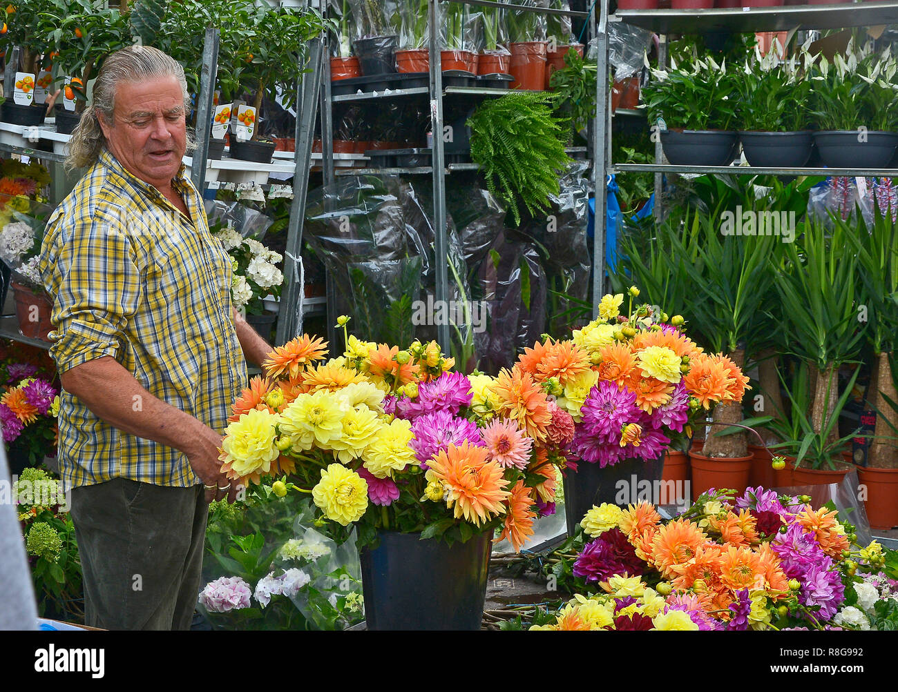 Domenica il mercato dei fiori, COLUMBIA ROAD, Bethnal Green,Tower Hamlets, a est di Londra. Agosto 2018. La colorata domenica mattina street il mercato dei fiori Foto Stock
