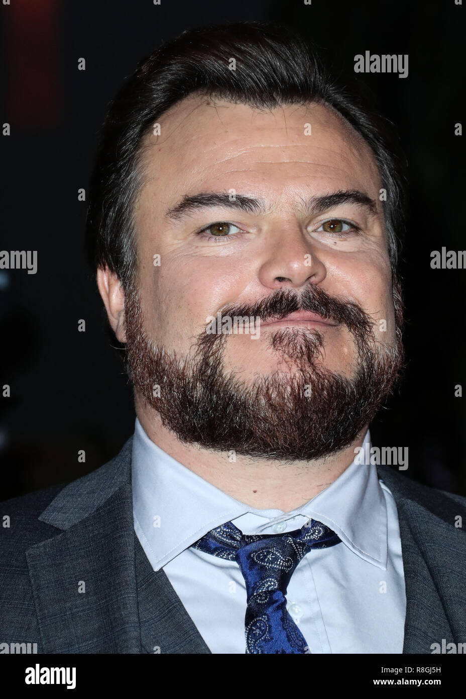 HOLLYWOOD, Los Angeles, CA, Stati Uniti d'America - 11 dicembre: Jack Black alla Premiere mondiale di Columbia Pictures' 'Jumanji: Welcome To The Jungle" tenutasi presso la leva TCL Chinese Theatre IMAX su dicembre 11, 2017 a Hollywood e Los Angeles, California, Stati Uniti. (Foto di Xavier COLLIN/Image Press Agency) Foto Stock