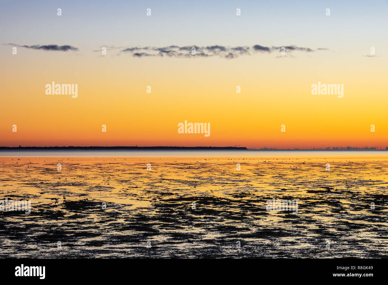 Alba sulla costa del Mare del Nord dell'isola Amrum, Germania. Foto Stock
