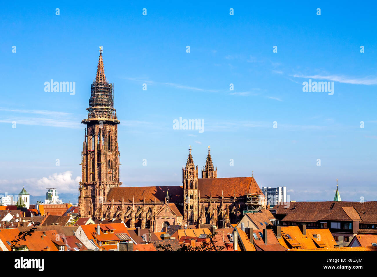 Cattedrale di Freiburg im Breisgau, Germania Foto Stock