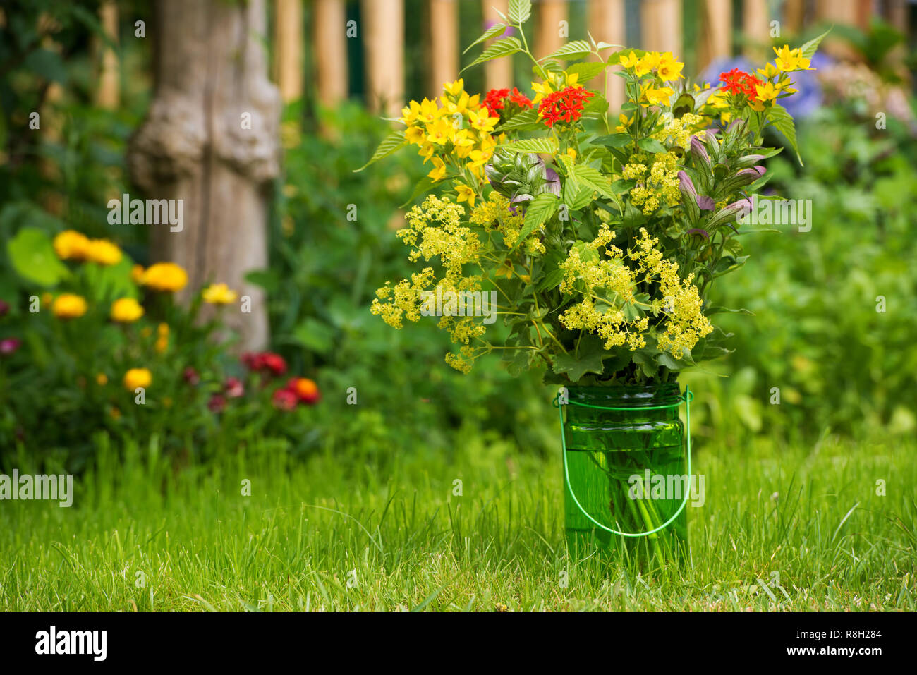 Wild mazzo di fiori in un prato Foto Stock