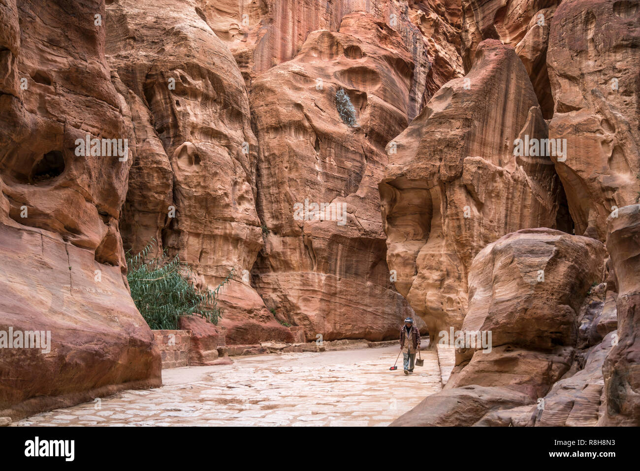 Die enge Felsschlucht Siq"führt zu Petra, Jordanien, Asien | Il passaggio stretto Siq che conduce a Petra, Giordania, Asia Foto Stock