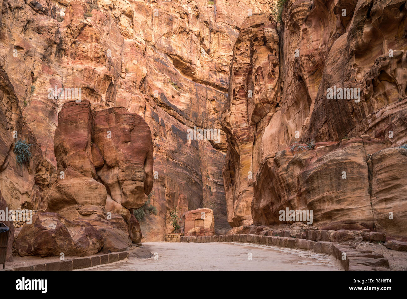Die enge Felsschlucht Siq"führt zu Petra, Jordanien, Asien | Il passaggio stretto Siq che conduce a Petra, Giordania, Asia Foto Stock