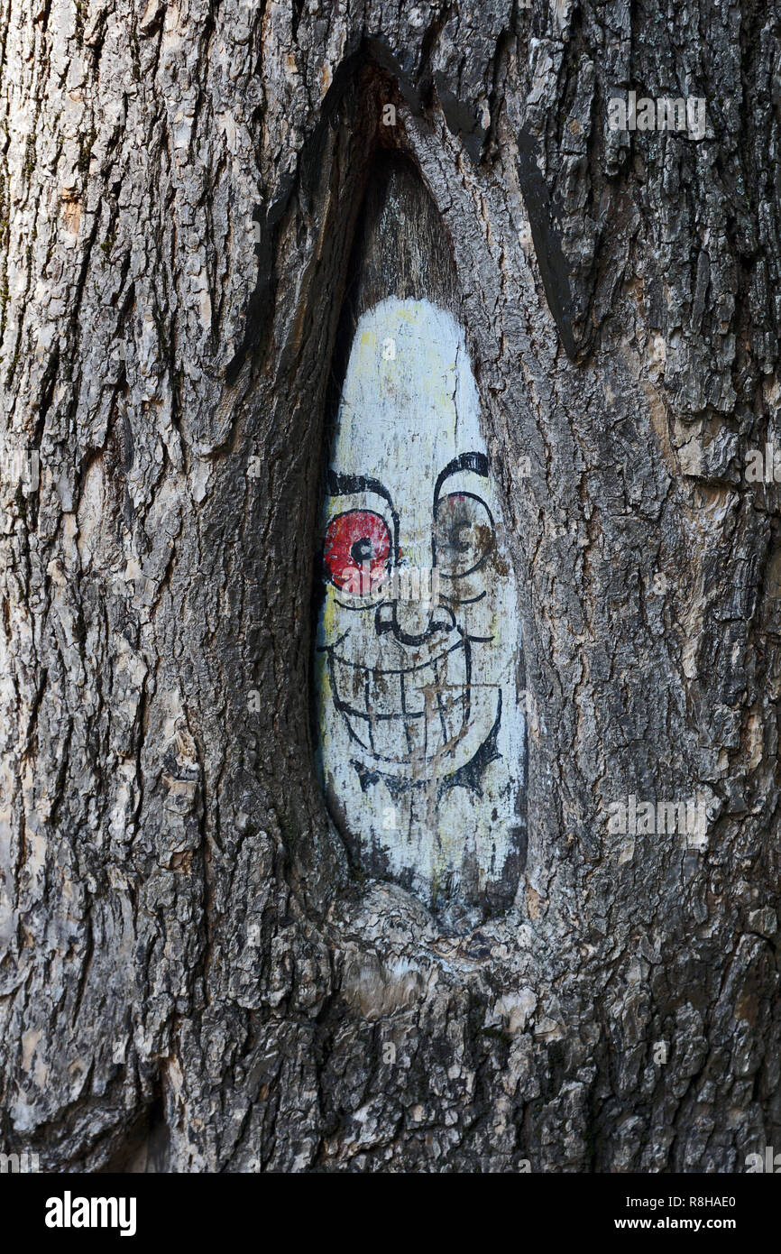 Graffiti faccia su albero, Germania Foto Stock