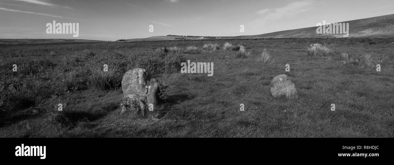 Estate, Bordo Hordron Stone Circle, Hordron Edge, Parco Nazionale di Peak District, Derbyshire, Inghilterra Foto Stock