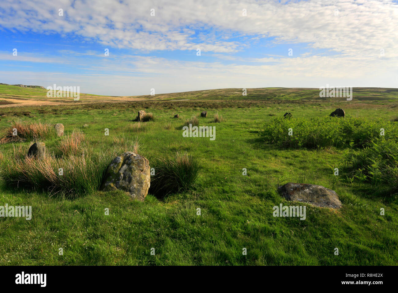 Estate, Bordo Hordron Stone Circle, Hordron Edge, Parco Nazionale di Peak District, Derbyshire, Inghilterra Foto Stock