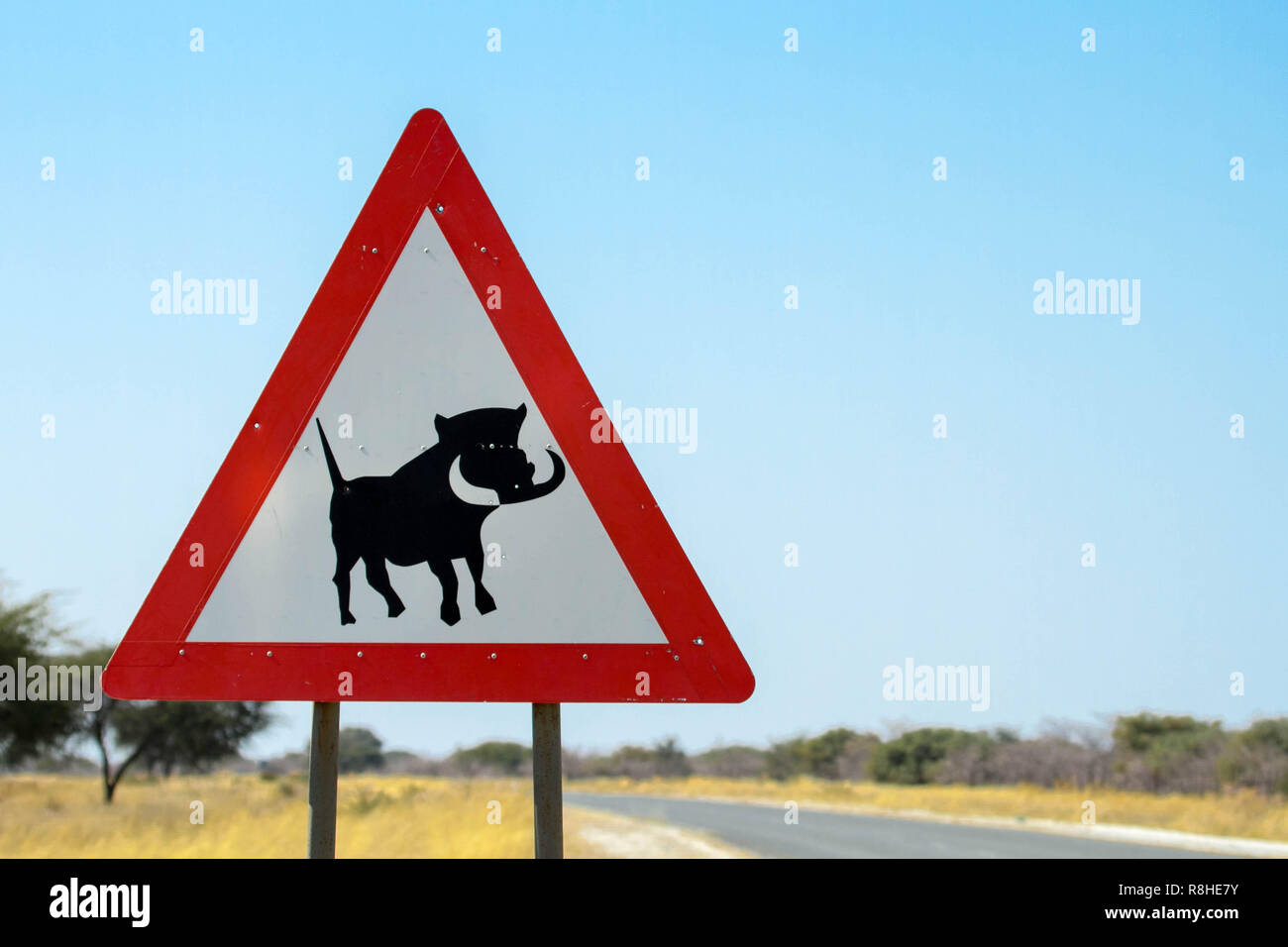 Cartello stradale per avvisare i conducenti di possibili warthog crossing Foto Stock