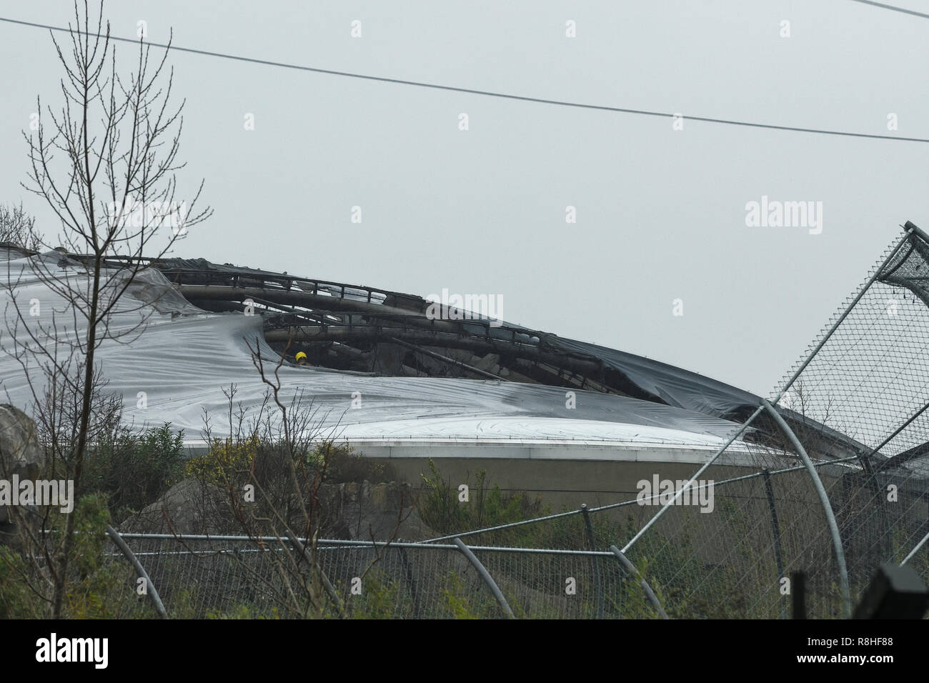 Chester, Regno Unito. Il 15 dicembre 2018. Il personale antincendio ispezionare la struttura del tetto della foresta monsonica habitat per lo Zoo di Chester dopo un incendio scoppiato questa mattina. Credito: Andrew Paterson/Alamy Live News Foto Stock