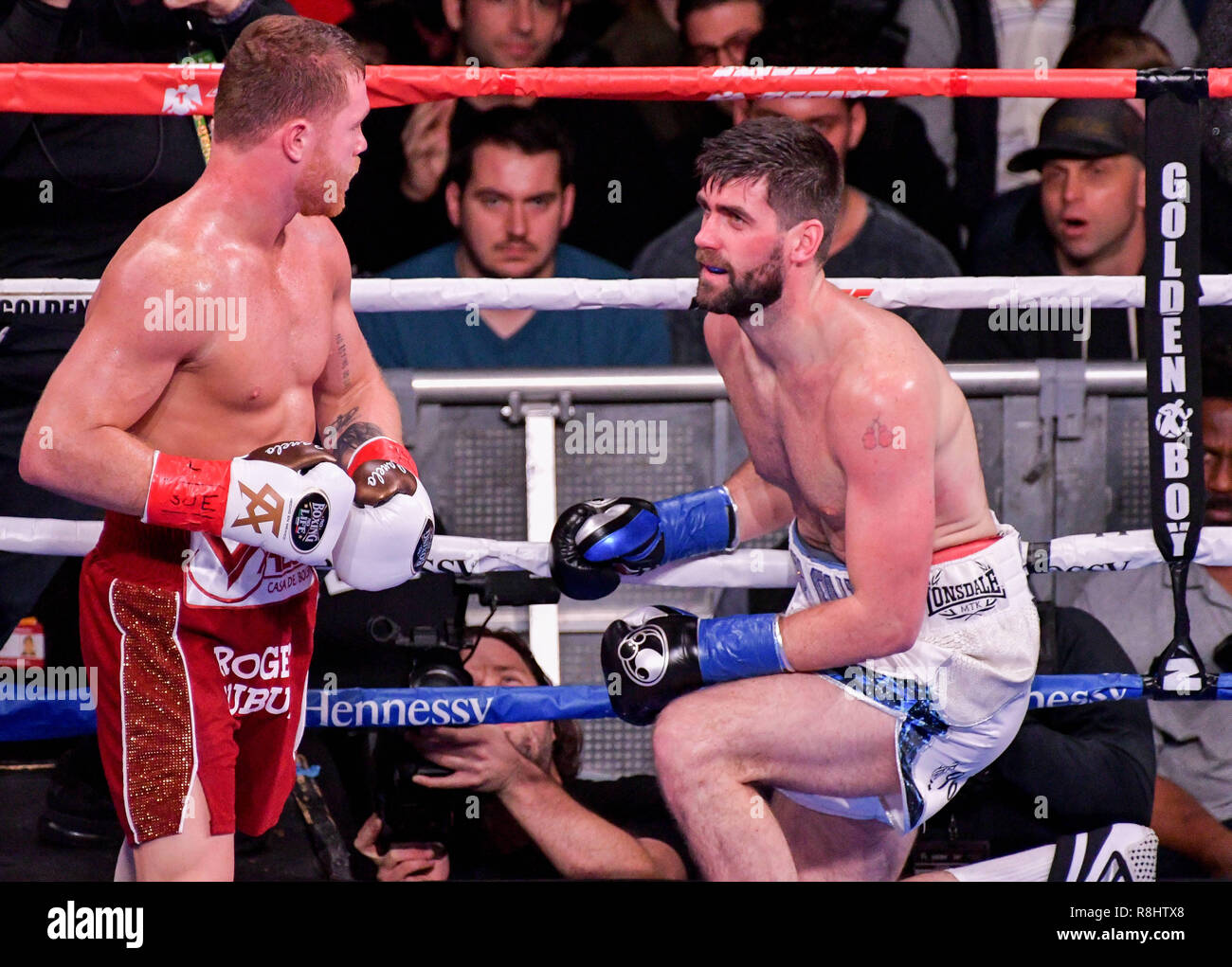 New York, New York, Stati Uniti d'America. 15 Dic, 2018. CANELO ALVAREZ (rosso) trunk e ROCKY FIELDING battaglia in un WBA (normale) Super Middleweight title bout al Madison Square Garden di New York, New York. Credito: Joel Plummer/ZUMA filo/Alamy Live News Foto Stock