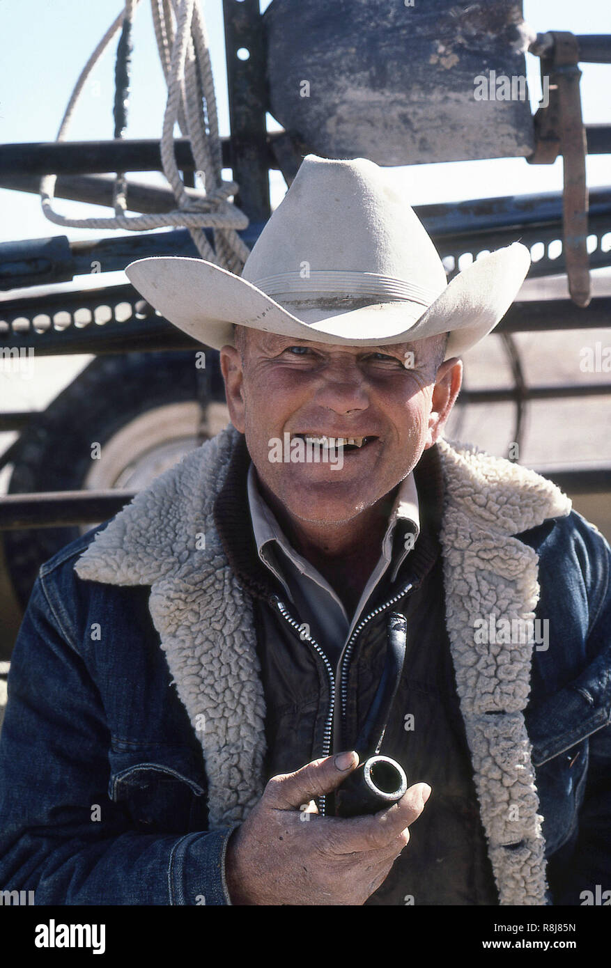 Texas Cowboy di lavoro Foto Stock