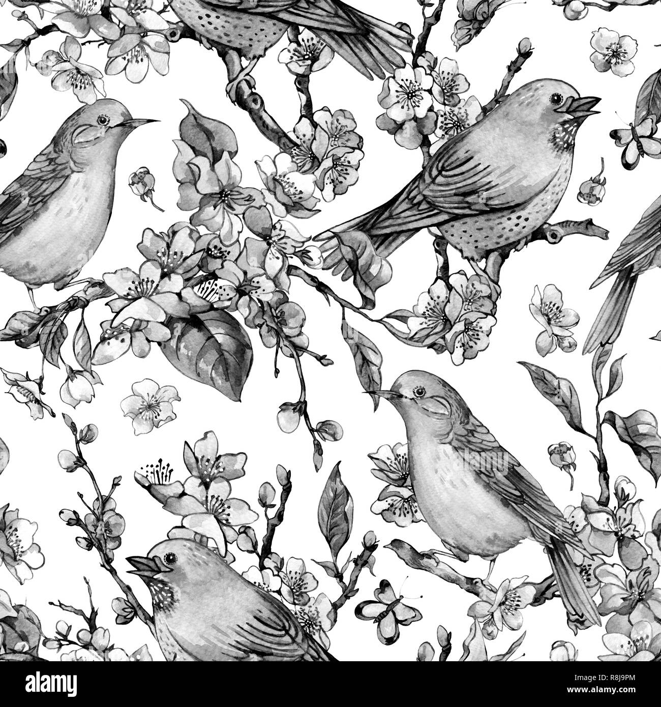 Acquerello in bianco e nero molla floreali seamless pattern, rami fioriti di ciliegia pesca, pera, Sakura, meli e farfalle, bella bir Foto Stock