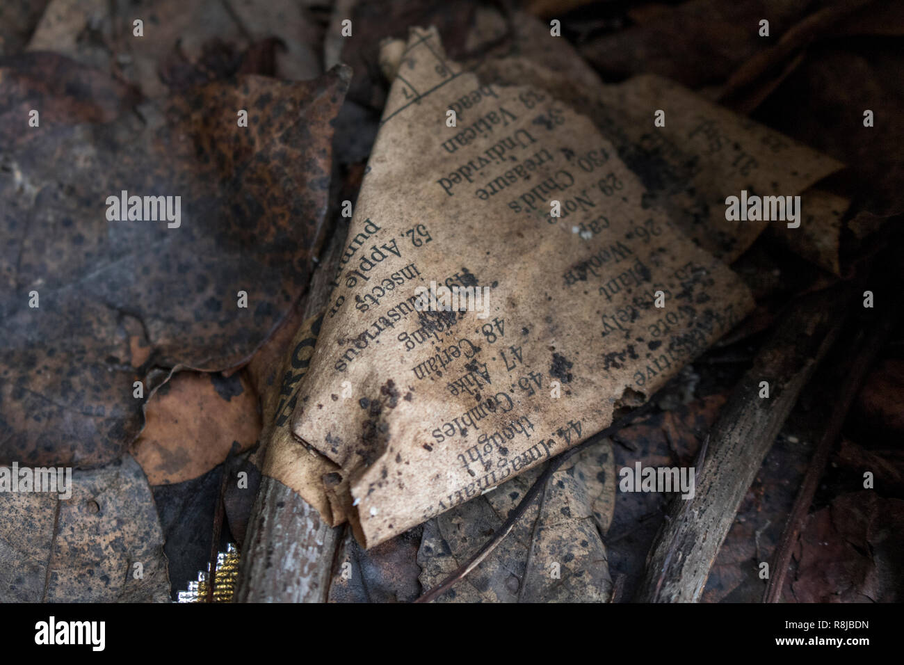 Vecchio Crossword sul mucchio di foglie Foto Stock