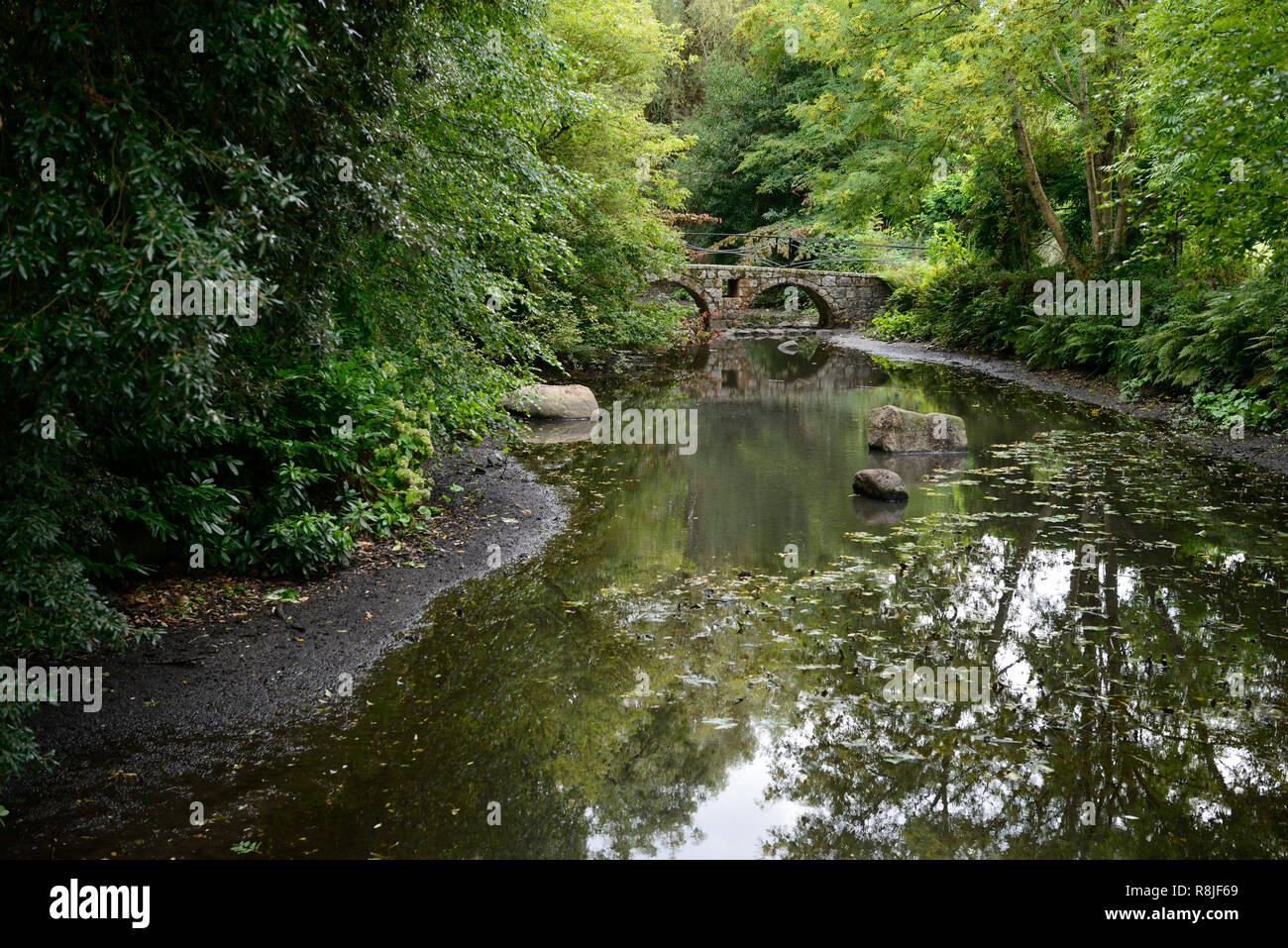 Arco in pietra ponte,riflesso,riflettere,lago,stagno,siccità,acqua bassa,ridotta,ridurre,cambiamenti climatici,altamont gardens,carlow,RM Floral Foto Stock