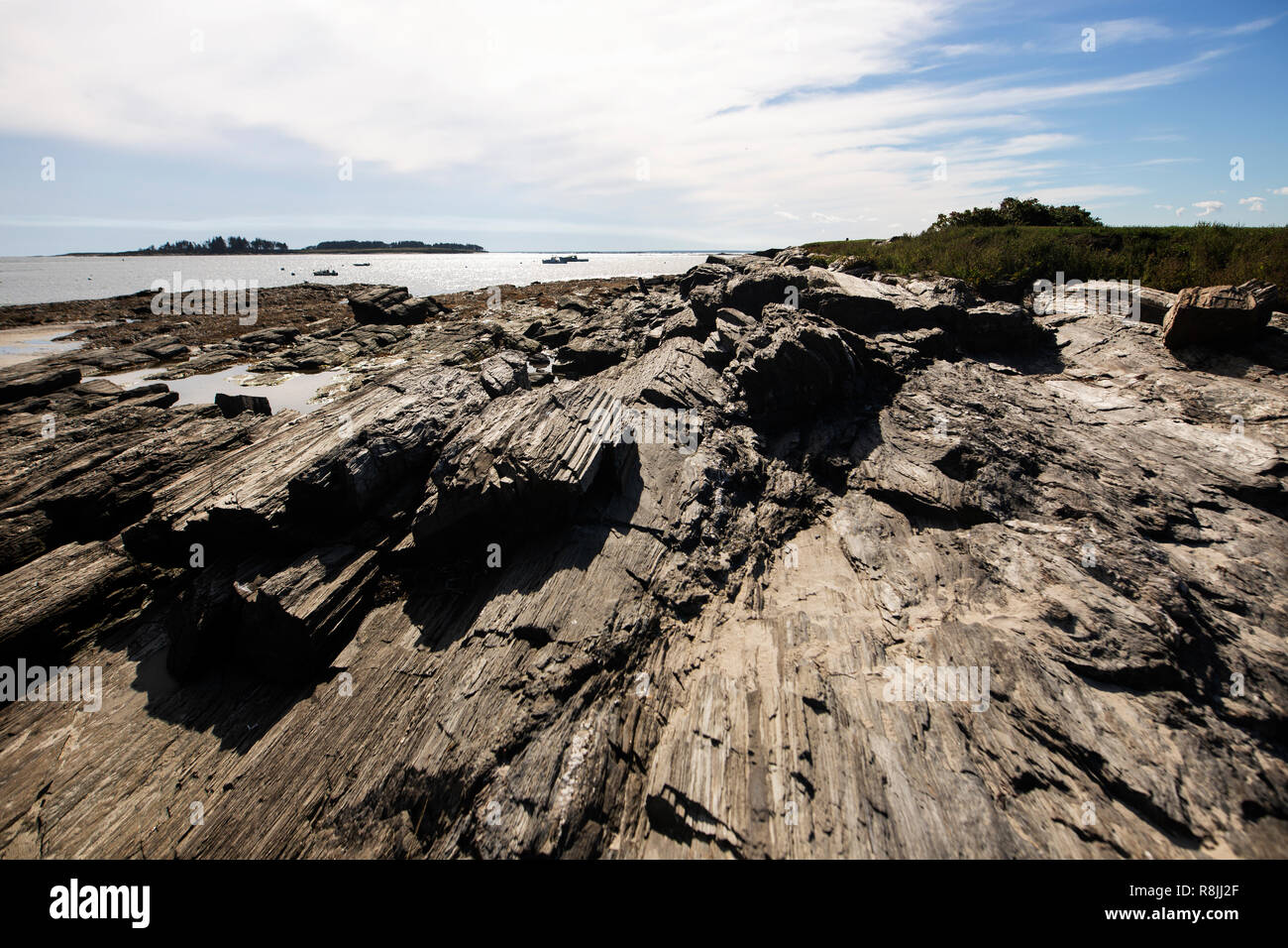 La costa rocciosa lungo il bollitore Cove in Cape Elizabeth, Maine. Foto Stock