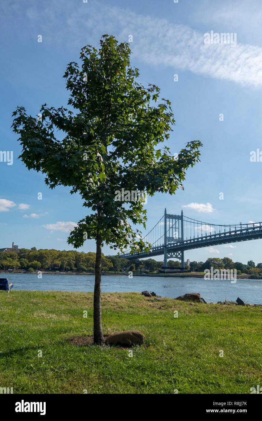 Il Triborough Bridge, Robert F. Kennedy Bridge, Randalls, Circoscrizioni, Queens, a New York Foto Stock